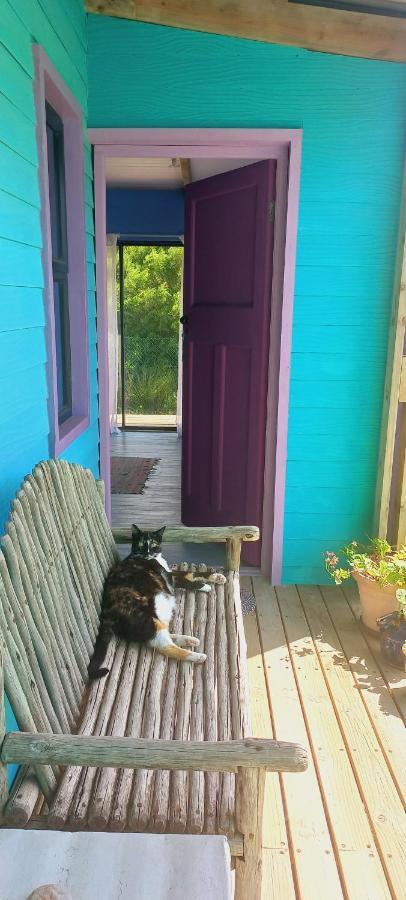 Cat Nap Cottage Беттіс-Бей Екстер'єр фото