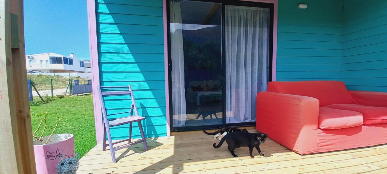 Cat Nap Cottage Беттіс-Бей Екстер'єр фото